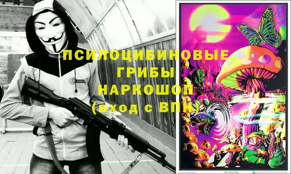 дурь Алексин