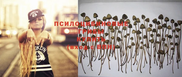 дурь Алексин